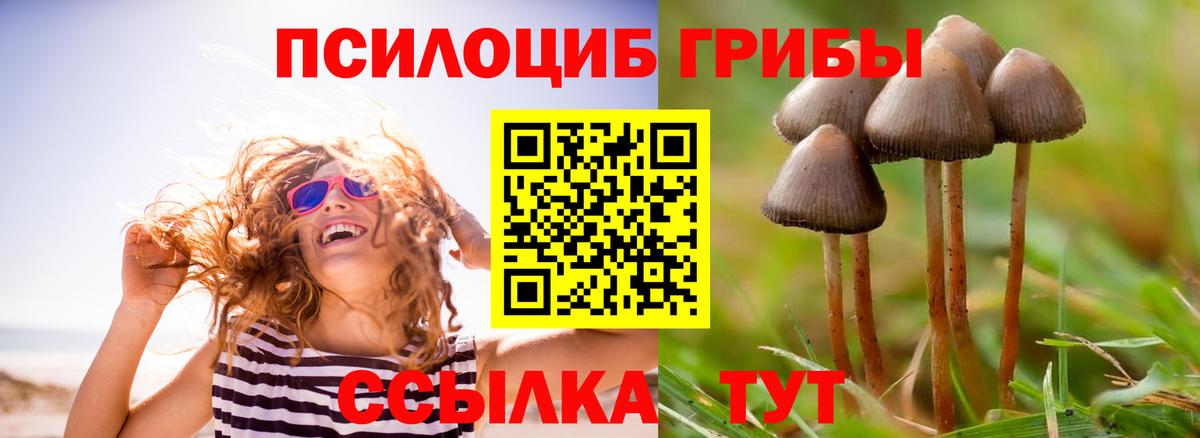 Псилоцибиновые грибы MAGIC MUSHROOMS  Вход с VPN  Усть-Джегута  Галлюциногенные грибы Cubensis 